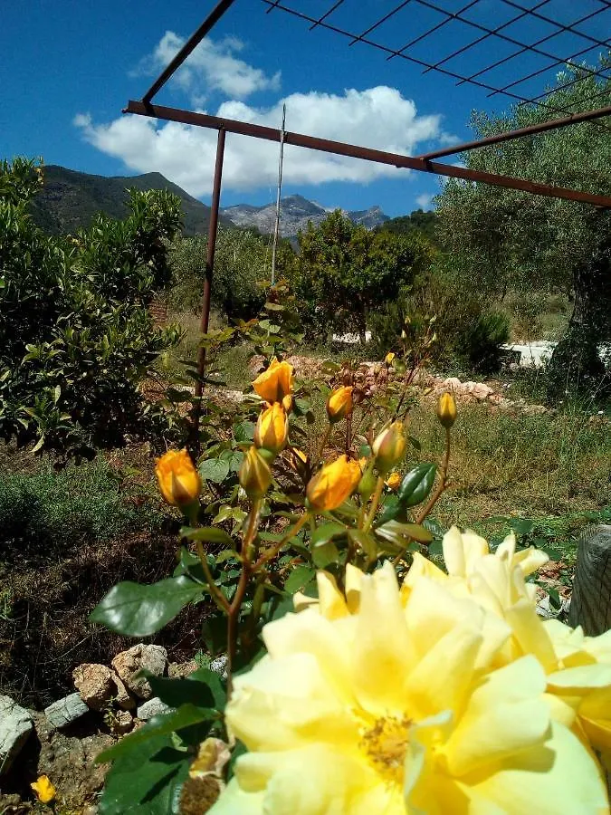 Alojamiento Rural Alfaguara Villa Tolox